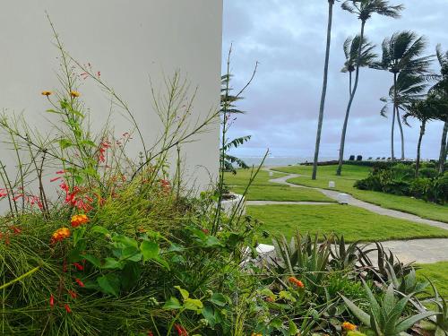 Cabarete Beachfront Condos at Nanny Estate C-5