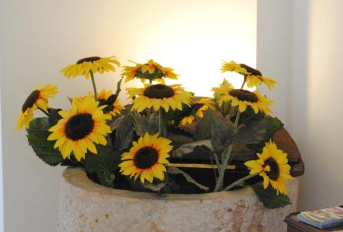Hotel Tiziana Garni