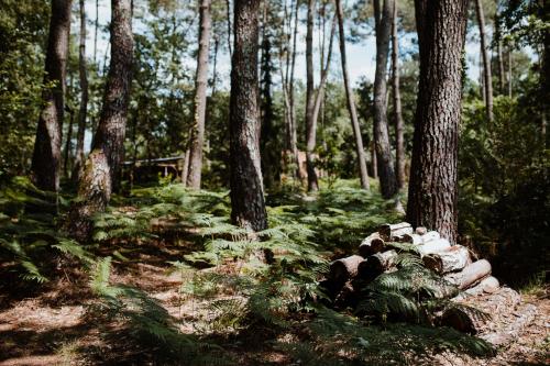 Tiny Stay Ecolodge