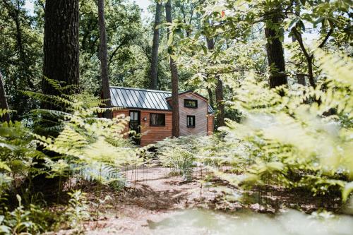 Tiny Stay Ecolodge