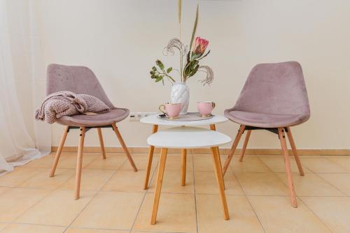 บริการและสิ่งอำนวยความสะดวก, Palanga Center Studios in ปาลังกา