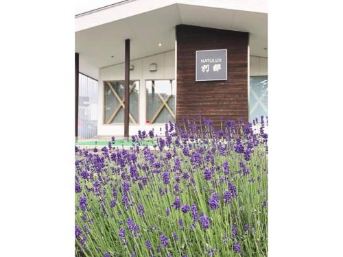 ＦＵＲＡＮＯ ＮＡＴＵＬＵＸ ＨＯＴＥＬ - Vacation STAY 68188v