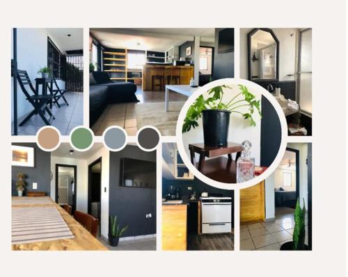 Black and White aparment
