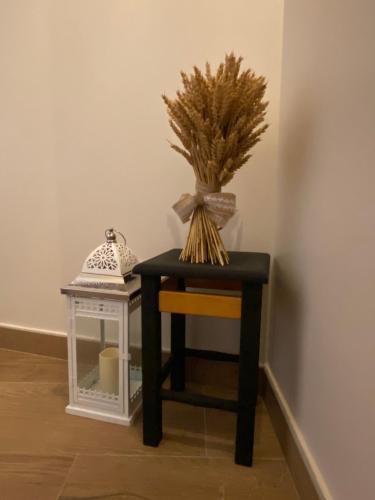 Instalaciones, Casa La Pedrana in Barbastro