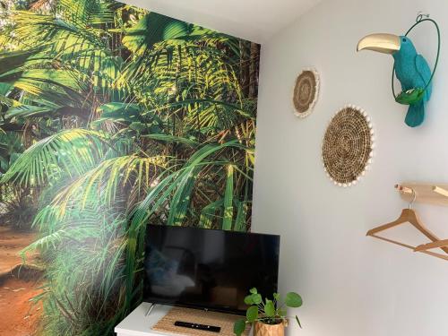 Le Petit Bali - Studio - WIFI - Parking - Coeur de ville