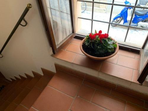 CASA SANTA RITA - image 9