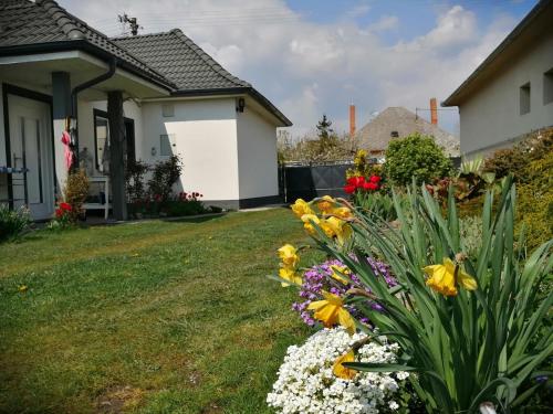 Big Garden House - image 2