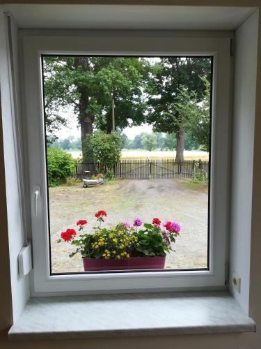 Ferienwohnung Bittner in Schwarzheide