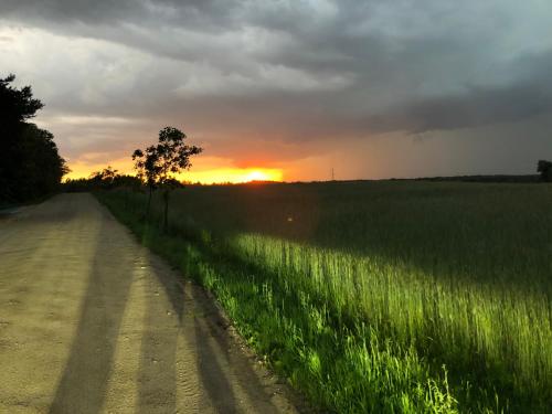 Czerwony Domek na Podlasiu przy lesie