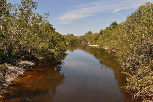 Gulf Pines - image 14
