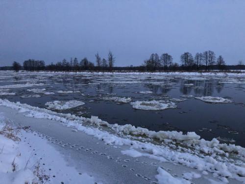 Czerwony Domek na Podlasiu przy lesie