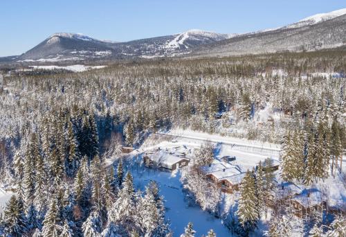 Vålkojan Naturby - Timber cottages - Vemdalen