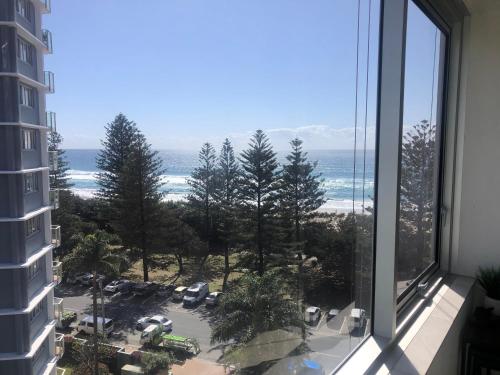 Oceania on Burleigh Beach