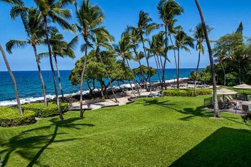 Kona Isle E23 - image 14