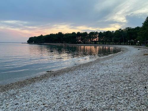 Apartements Sarah, Novigrad (Cittanova d'Istria)
