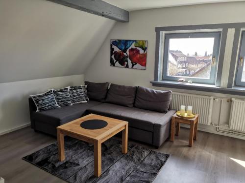 Schöne Ferienwohnung für 4-6 Personen erwartet Sie im Oberharz - Apartment - Sankt Andreasberg / Sonnenberg