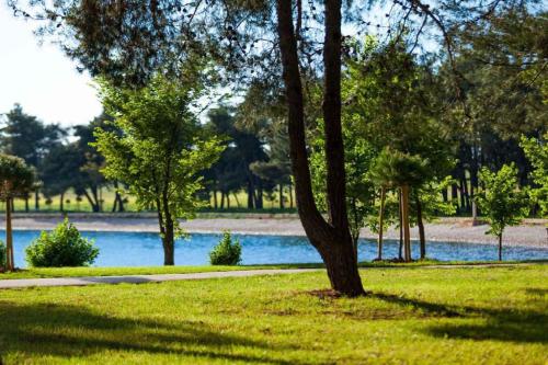 Apartment in Kampor/Insel Rab 16142 - image 10