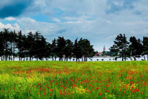 Apartment in Kampor/Insel Rab 16142 - image 6