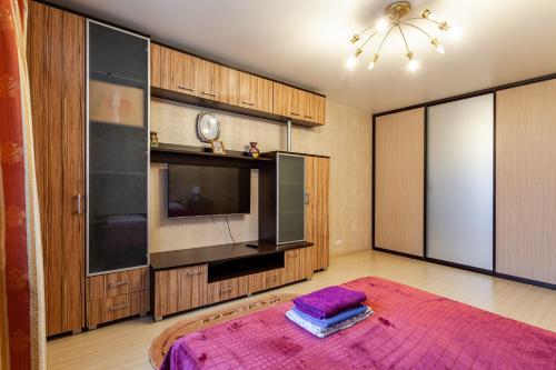 Busines Brusnika Apartment Tsaritsyno - image 10