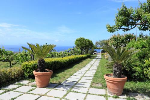 Tenuta Le Fornacelle - image 13