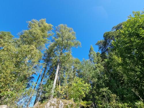 Surrounding environment, Skolvs Gard Hus Bjornfallet in Glanshammar