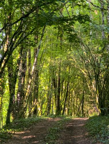 2 GITES - 5 a 20 pers - Domaine Des Loubieres