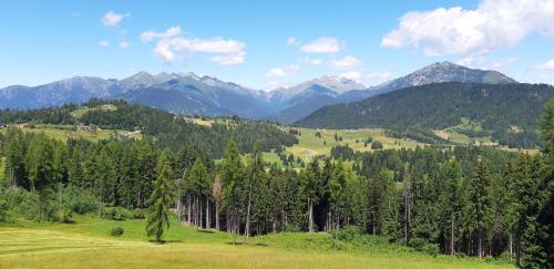 Albergo Chalet Abete Rosso