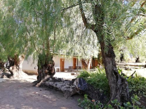 Зовнішній вигляд готелю, Doornfontein Guest Farm in Крадок