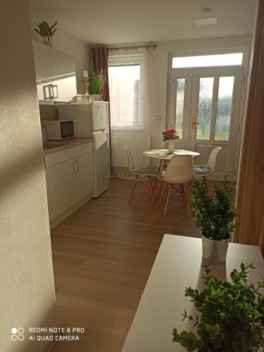 kuchyně, Familly Apartmens in Dolní Dunajovice