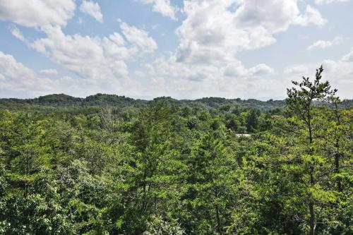 Pet-Friendly Retreat with Game Room and Mtn Views - image 10