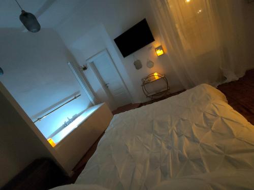 Il Sitarein, Bologne