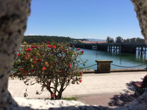 Hotel Argibay - image 8