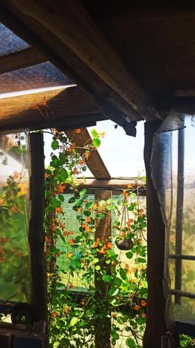 منظر, Bunker Hostel in Cabo Polonio