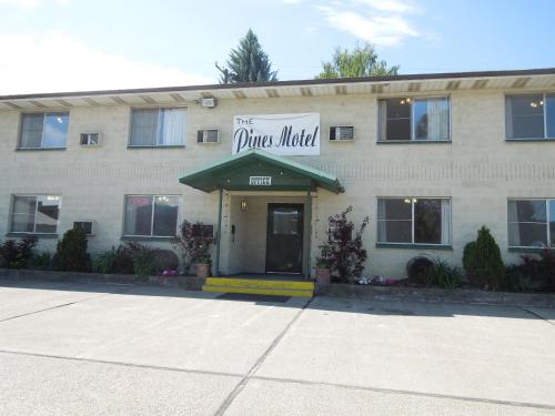 The Pines Motel - image 3