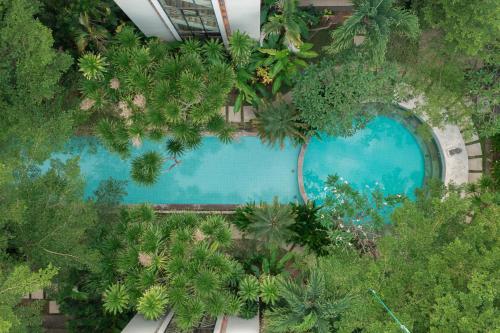 Swimming pool, Prime Plaza Hotel Sanur - Bali in Sanur