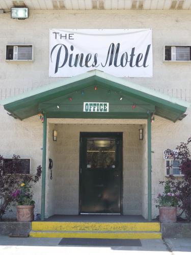 The Pines Motel - image 7