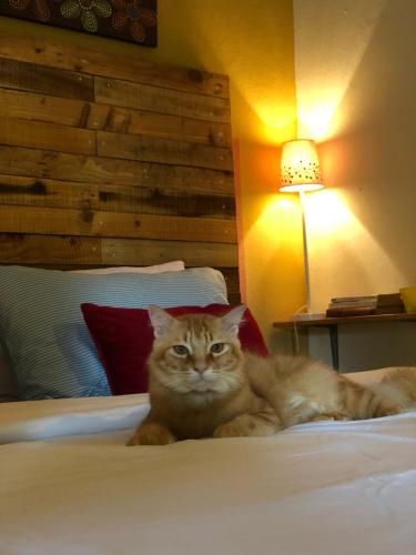 1 queen bed