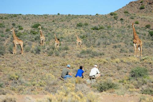 Sanbona Wildlife Reserve