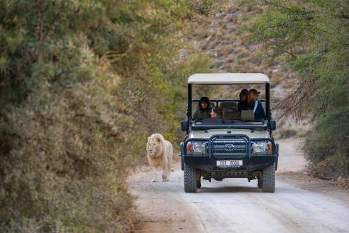 Sanbona Wildlife Reserve