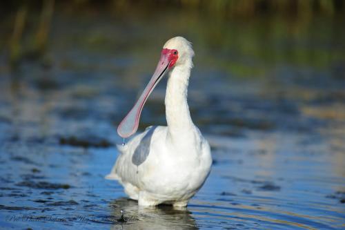 Sanbona Wildlife Reserve