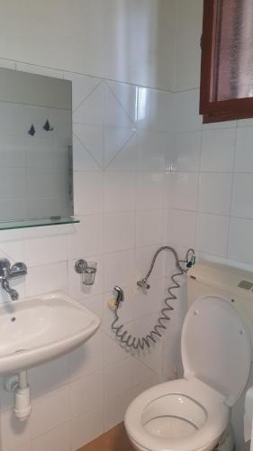 Arava Hostel Room Type - Single Room