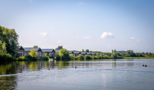Familie vakantiepark Krieghuusbelten