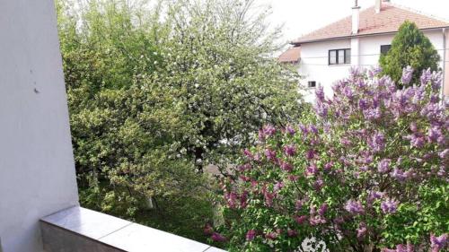 Vila Faris - image 13