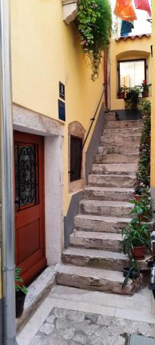 Apartment Lucija - image 12