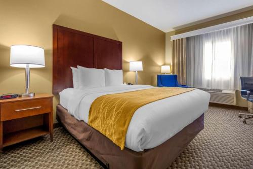 Comfort Inn Auburn - Seattle