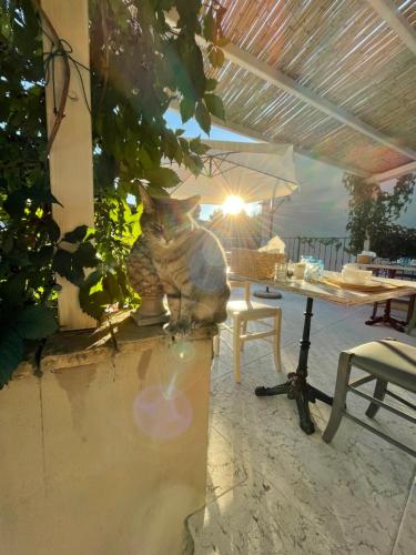 CORTE CAIAR Bed&Breakfast - Tap to explore photos