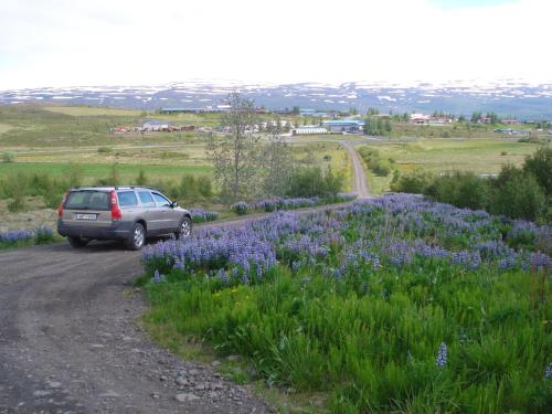 Vinland Guesthouse - image 5