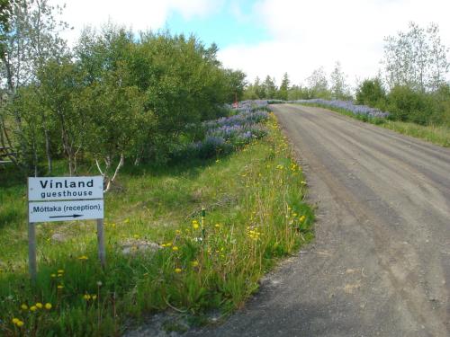 Vinland Guesthouse - image 8