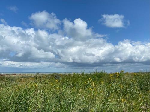 Natuurhuis Zeeuwse Rust voor wandelingen aan zee, fietstochten in natuur en culinair genieten