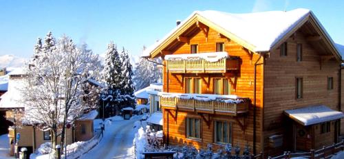  Chalet Balthazar in Villars-sur-Ollon